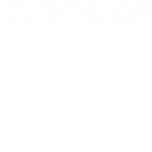 ZSM Landscaping Logo
